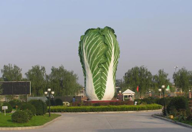 世界最大白菜玻璃鋼雕塑現身邯鄲