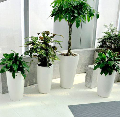 辦公室玻璃鋼室內花盆